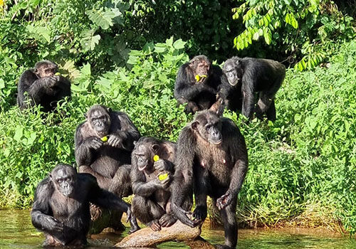 uganda7