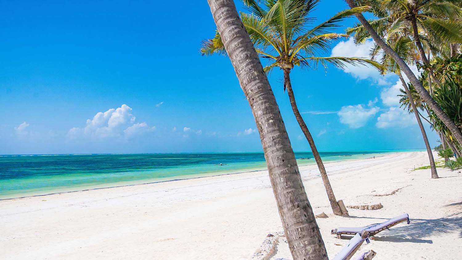 zanzibar0